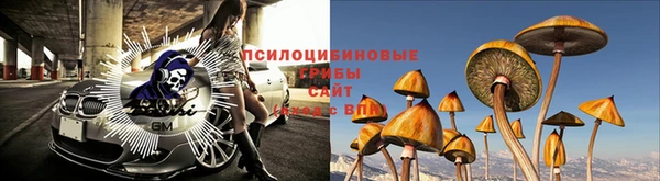 круглые Алексин